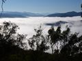 Fog above the Valleys, Victoria, Australia